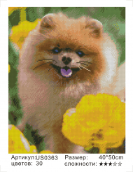 US0363 Без подрамника мозаика 40*50 