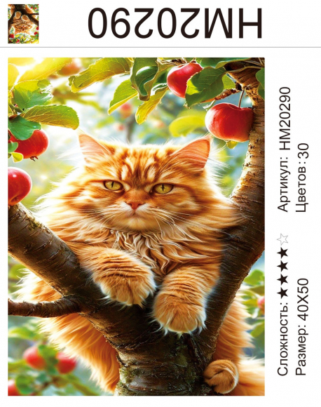 HM20290 Под заказ HM20290 Под заказ