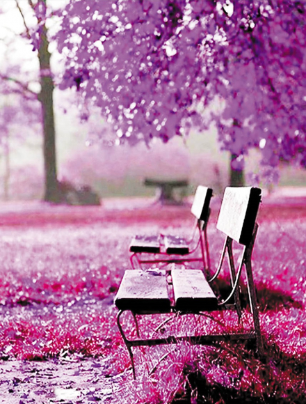 HWA 2199 Под заказ 