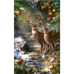 GX 4592 Олени у ручья