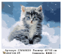 CWA8639 Под заказ  CWA8639 Под заказ