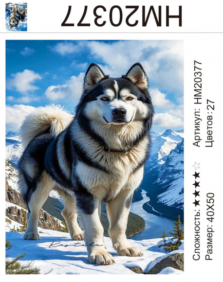 HM20377 Под заказ HM20377 Под заказ