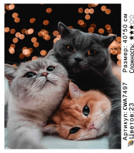 CWA7497 Под заказ