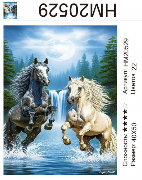 HM20529 Под заказ  