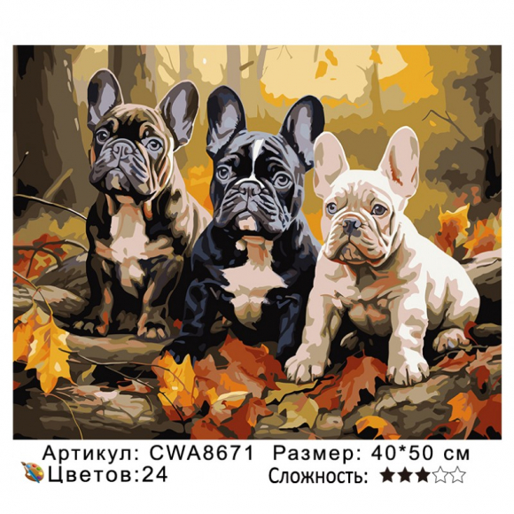CWA8671 Под заказ 