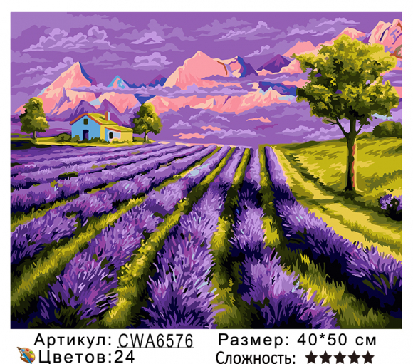 CWA6576 Под заказ 