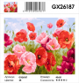GX 26187  GX 26187