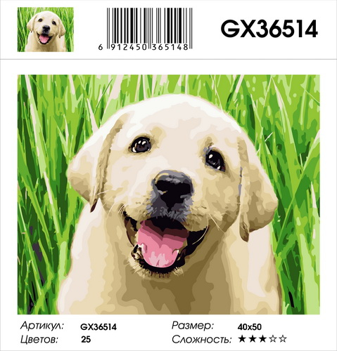 GX 36514 GX 36514