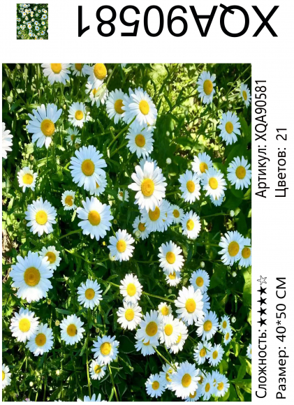 XQA90581 Мозаика 40*50 круг.стразы Под заказ  