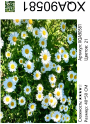 XQA90581 Мозаика 40*50 круг.стразы Под заказ XQA90581 Мозаика 40*50 круг.стразы Под заказ