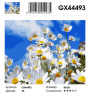 GX 44493 GX 44493
