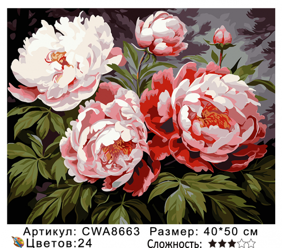 CWA8663 Под заказ 