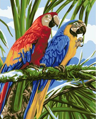 Пара попугаев на ветке пальмы