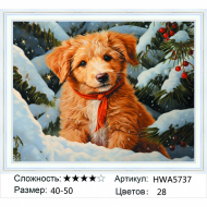 HWA 5737 в наличии HWA 5737 в наличии