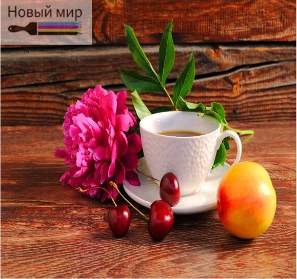 ︎ ︎︎︎︎︎ Men's shoes adidas ZX 850 Originals Collegiate Navy/Bright