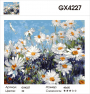 GX 4227 GX 4227