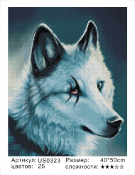 US0323 Без подрамника мозаика 40*50   