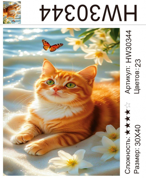 HW30344 Под заказ