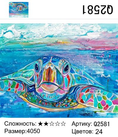 Радужная черепаха Радужная черепаха