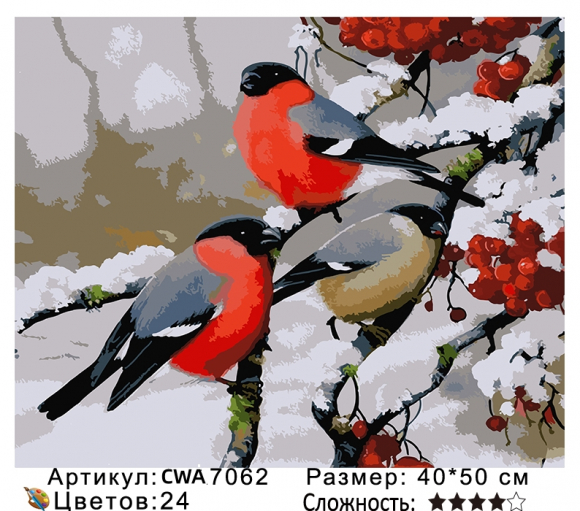 CWA7062 Под заказ