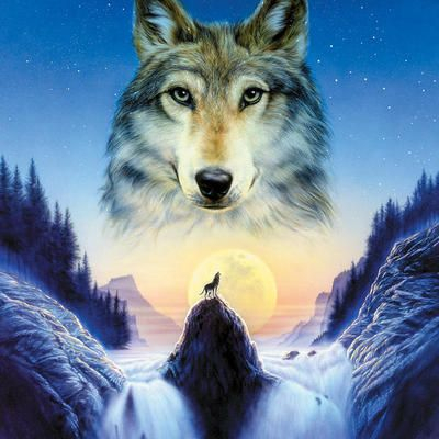 GX 5866 Одинокий волк GX 5866 Одинокий волк