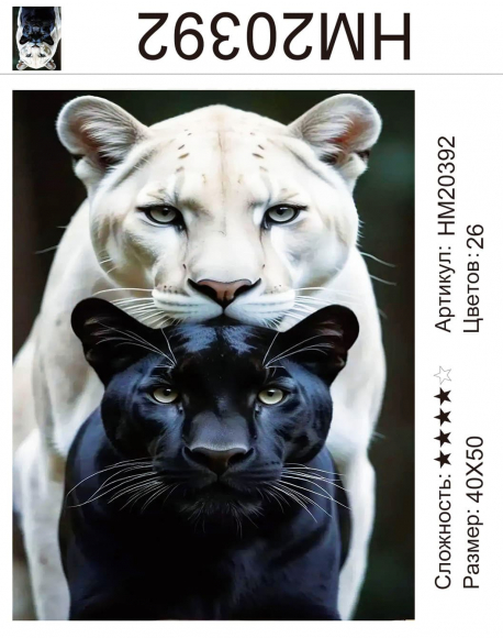 HM20392 Под заказ 