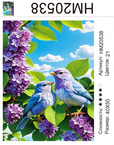 HM20538 Под заказ 