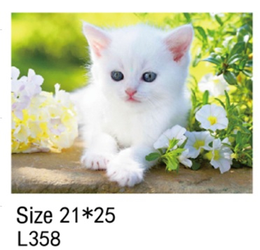 L358 уценка - повреждена наклейка L358 уценка - повреждена наклейка