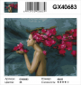 GX 40683 GX 40683