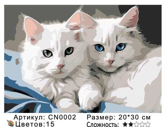 CN0002 Картины по номерам 20*30 цвет.холст Под заказ