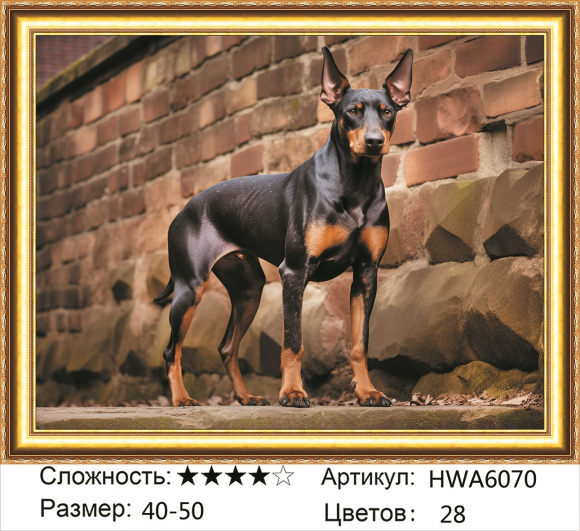 HWA 6070 Под заказ 