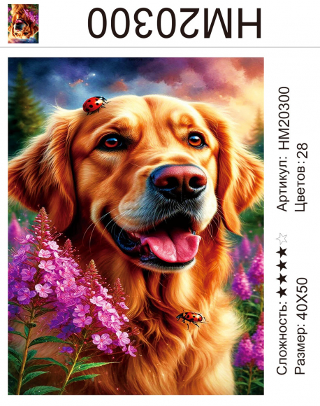 HM20300 Под заказ  