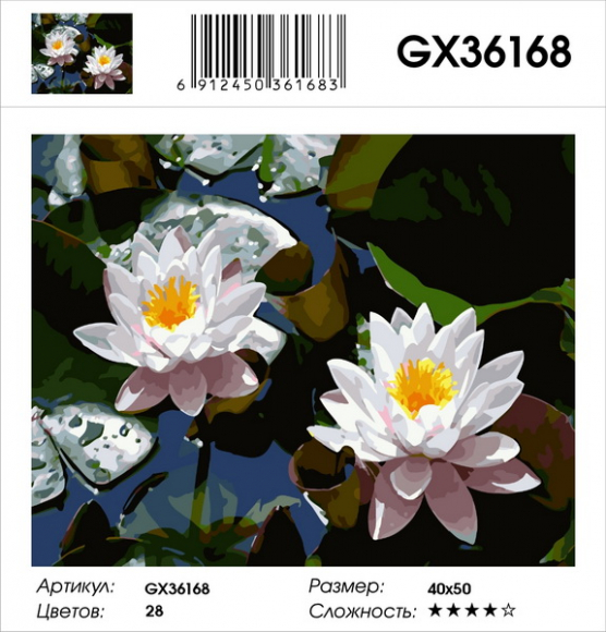 GX 36168