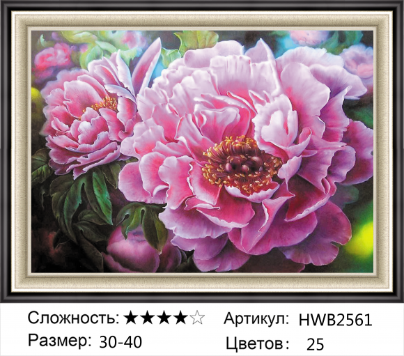 HWB2561