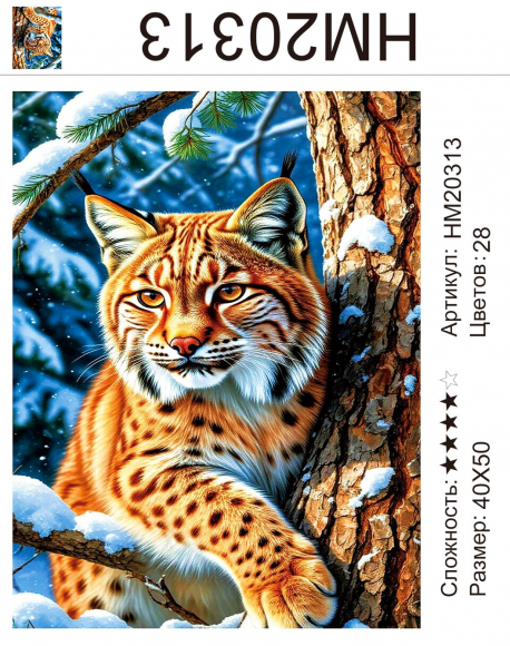 HM20313 Под заказ   