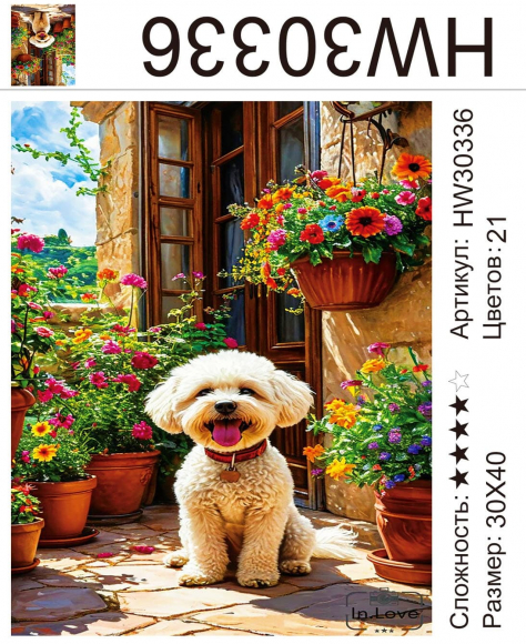 HW30336 Под заказ