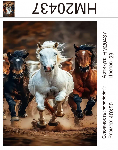 HM20437 Под заказ HM20437 Под заказ