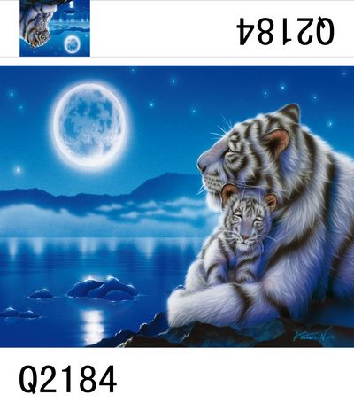 Сон под луной у моря