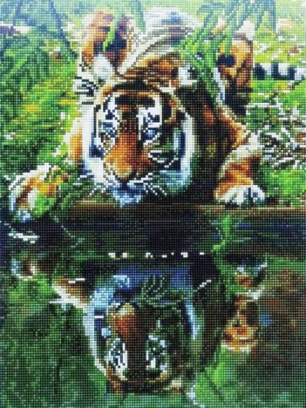 GF 2771 Тигр у воды