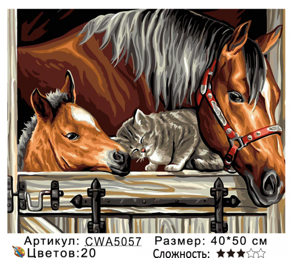 CWA5057 Под заказ