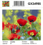 GX 34985 GX 34985