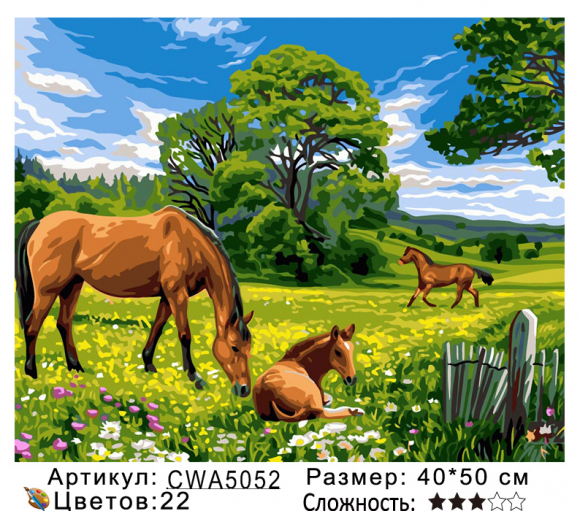 CWA5052 Под заказ 