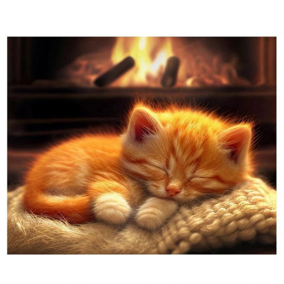 WB8055 в наличии 