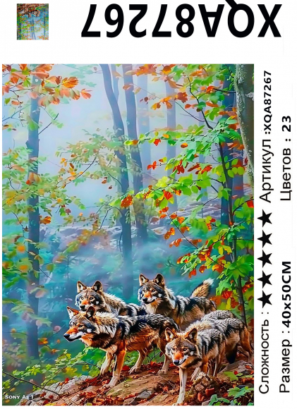 XQA87267 Мозаика 40*50 круг.стразы Под заказ  
