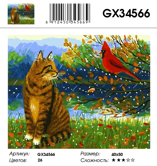 GX 34566 GX 34566