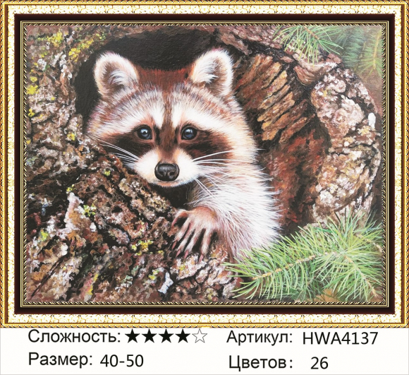 HWA 4137