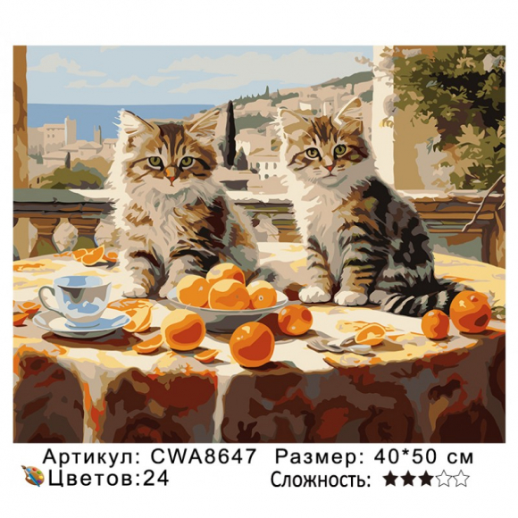 CWA8647 Под заказ 