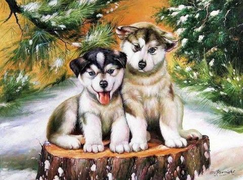 GX 5680 Щенки хаски в зимнем лесу