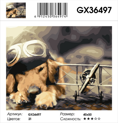 GX 36497 GX 36497