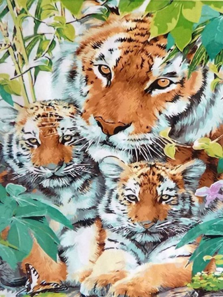Семья тигров